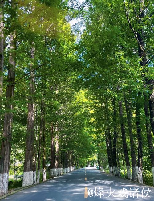 陕西留坝:民宿搭台、非遗唱戏 深山旅居解锁文化新体验 陕西留坝:民宿搭台、非遗唱戏 深山旅居解锁文化新体验